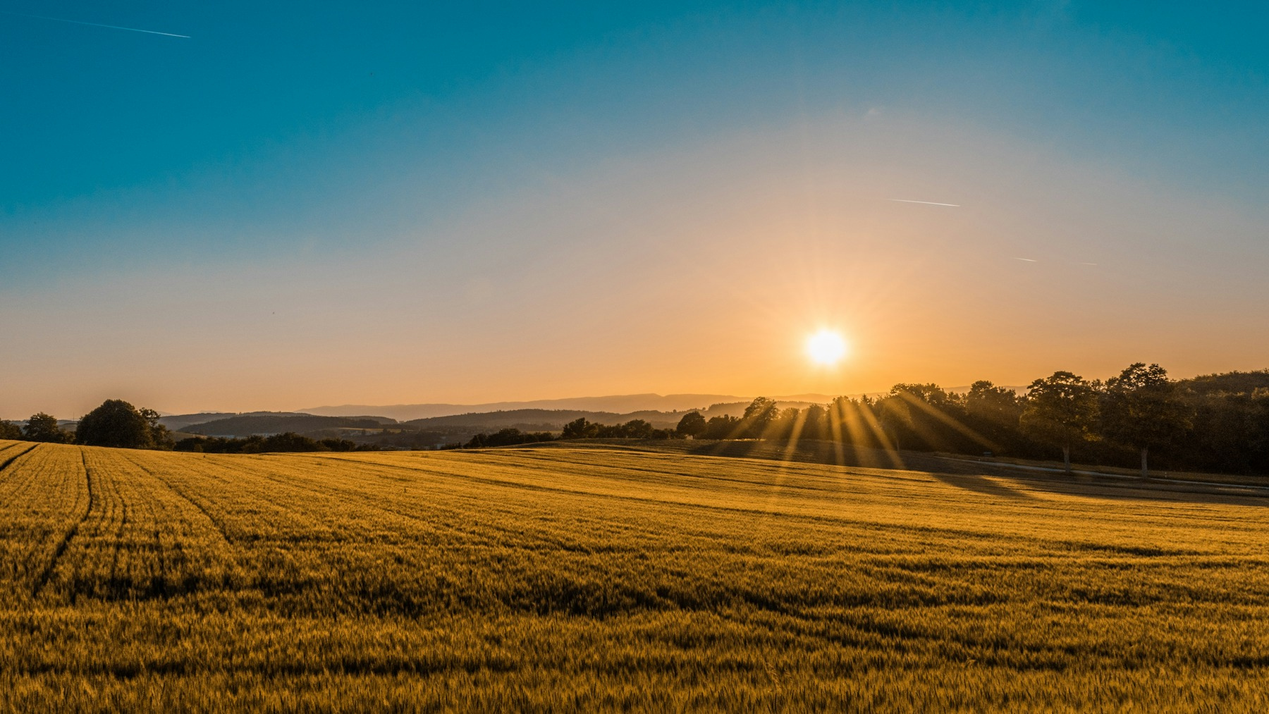 Lavoura ao amanhecer
